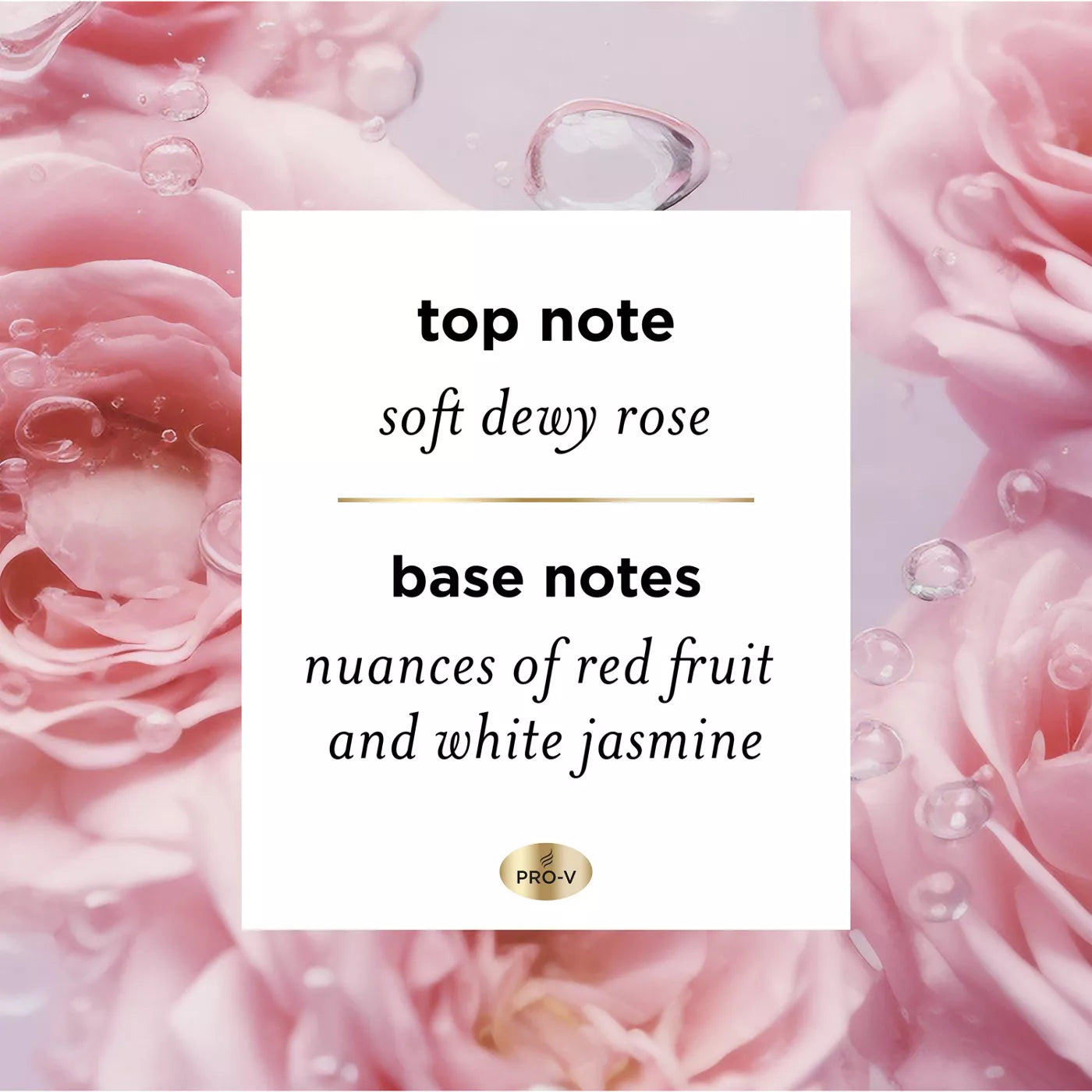 PANTENE Nutrient Blends Miracle Moisture Boost Rose Water بانتين نوتريانت مويستشر بماء الورد