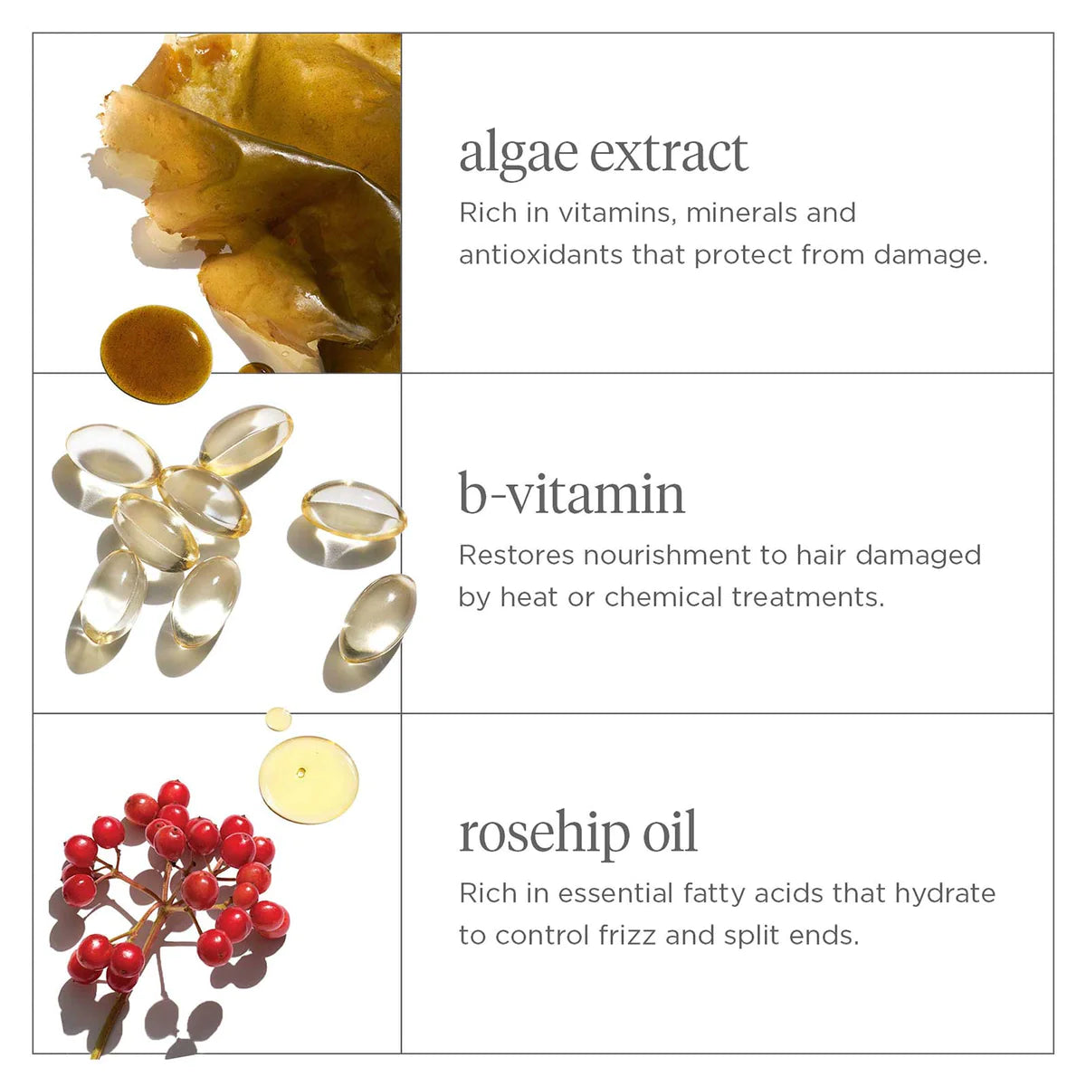 BRIOGEO don't despair repair super moisture shampoo شامبو بريوجيو للترطيب العميق