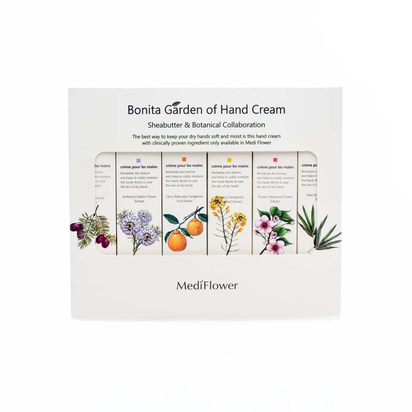 MEDIFLOWER Bonita Garden Hand Cream Shea Butter & Botanical Collaboration مجموعة العناية باليدين من ميدفلاور