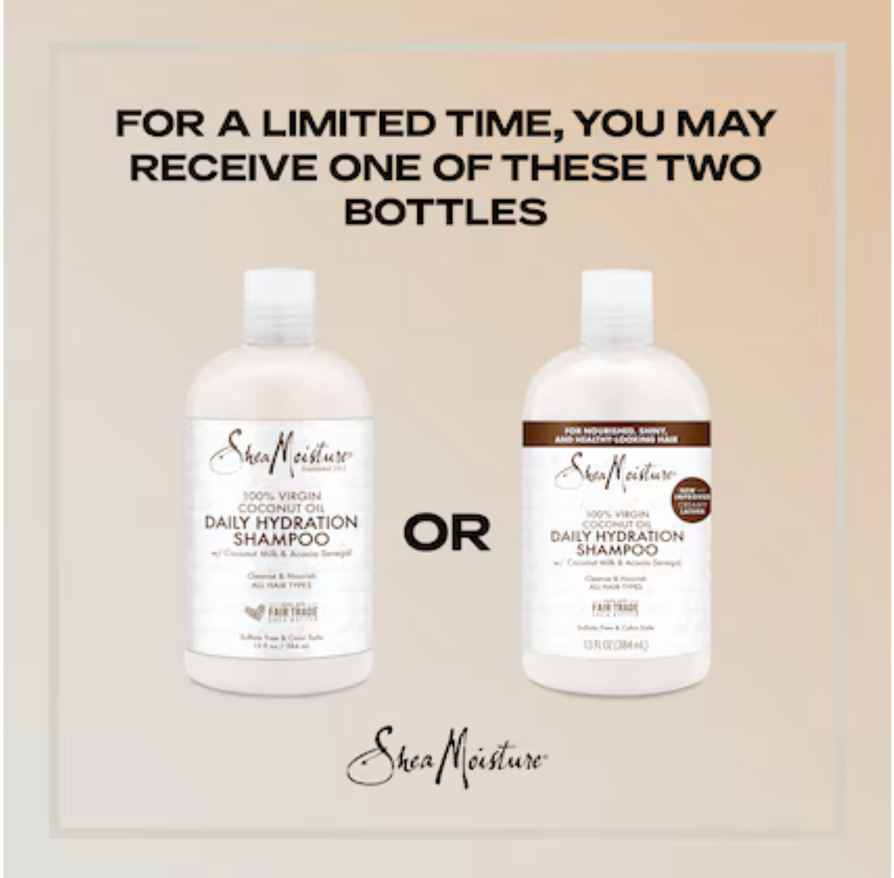 SHEA MOISTURE 100%Virgin Coconut OIL Daily Hydration Shampoo شامبو الشعر بزيت جوز الهند النقي من شيا مويستر