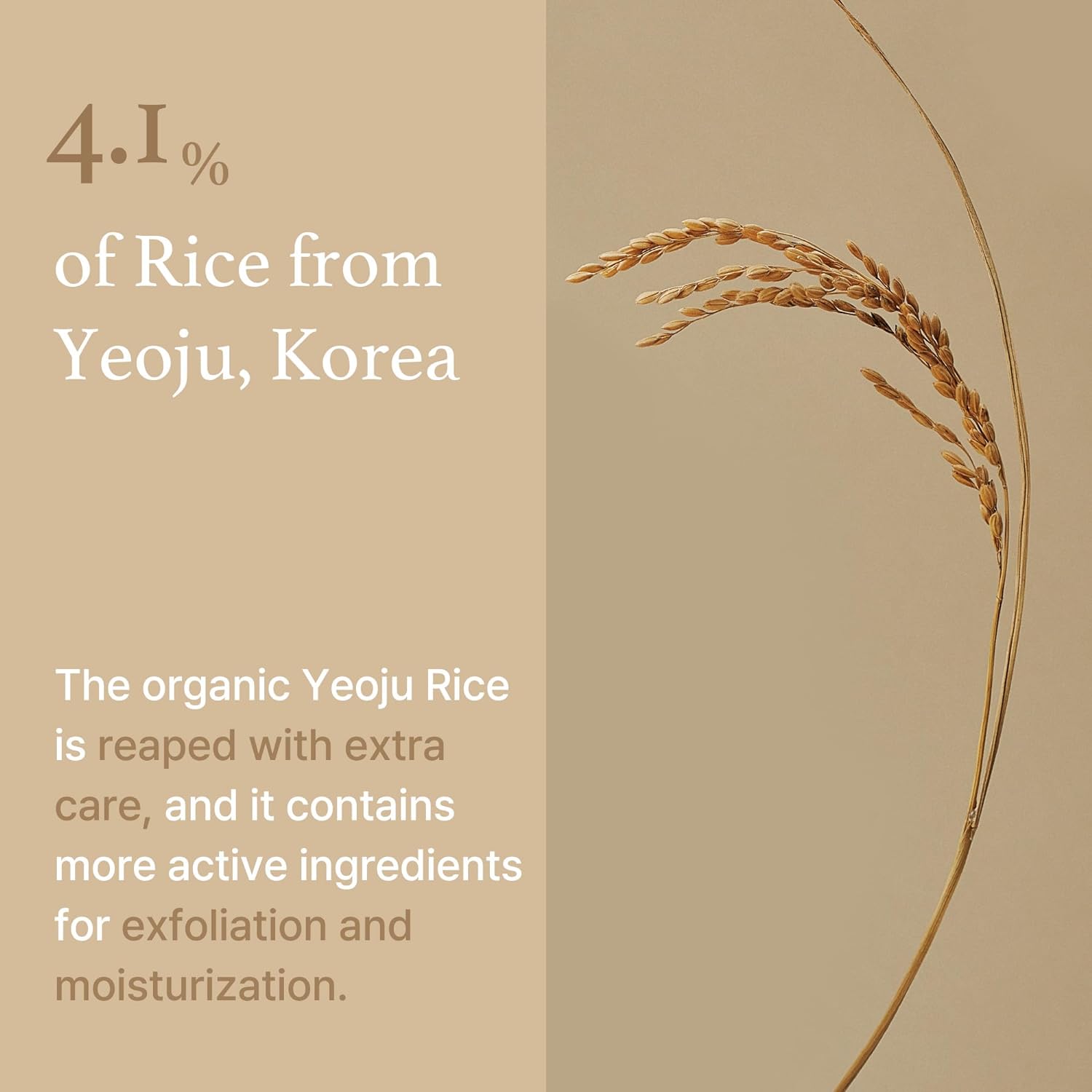 I'M FROM yeoju korea Rice Mask قناع الارز لتنقية البشرة من ام فروم