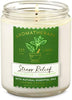 aromatherapy eucalyptus + spearmint stress relief candle