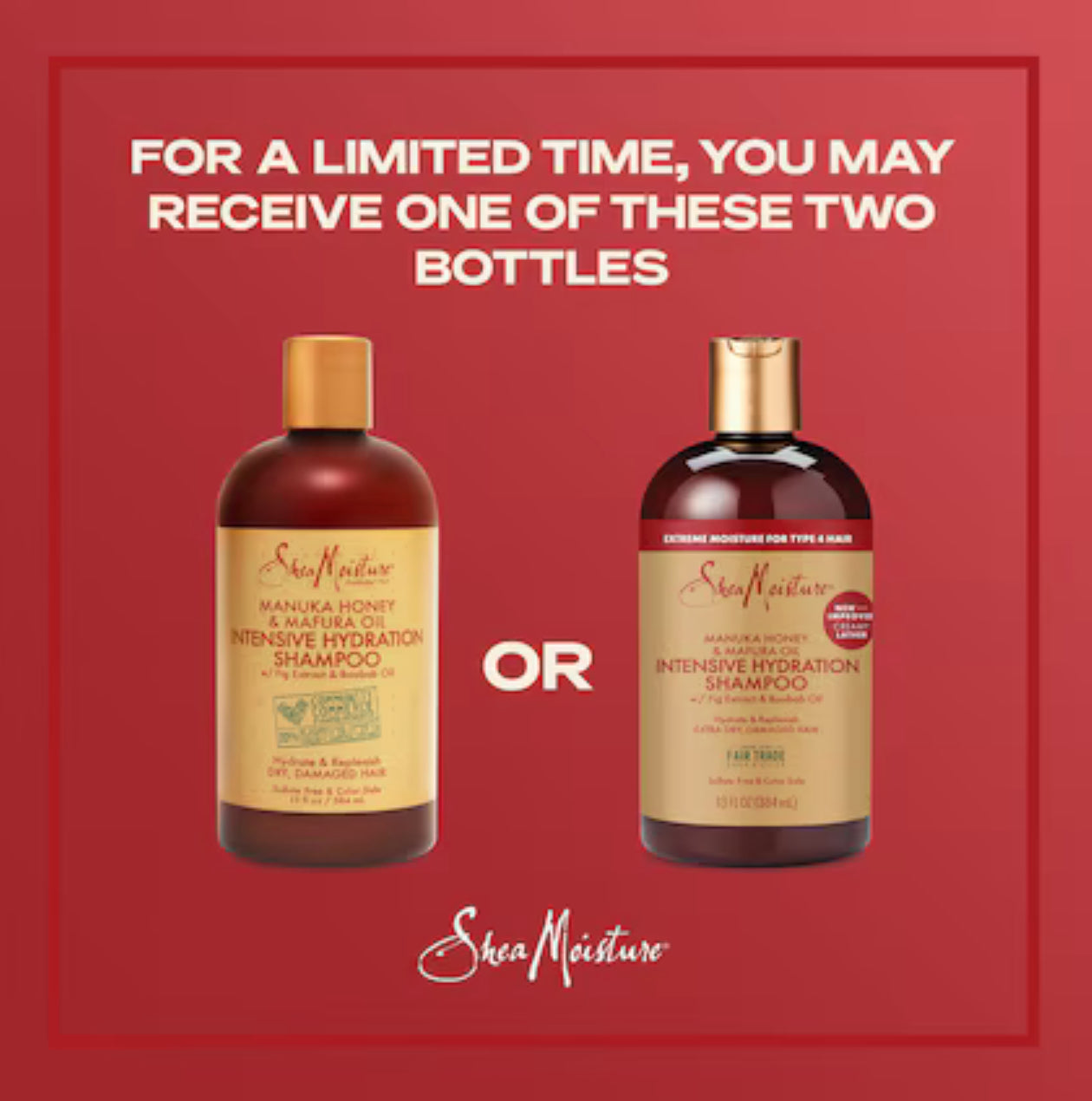 SHEA MOISTURE Manuka Honey And Mafura Oil Shampoo شامبو عسل المانوكا وزيت المافورا للترطيب المكثف من شيا مويستر