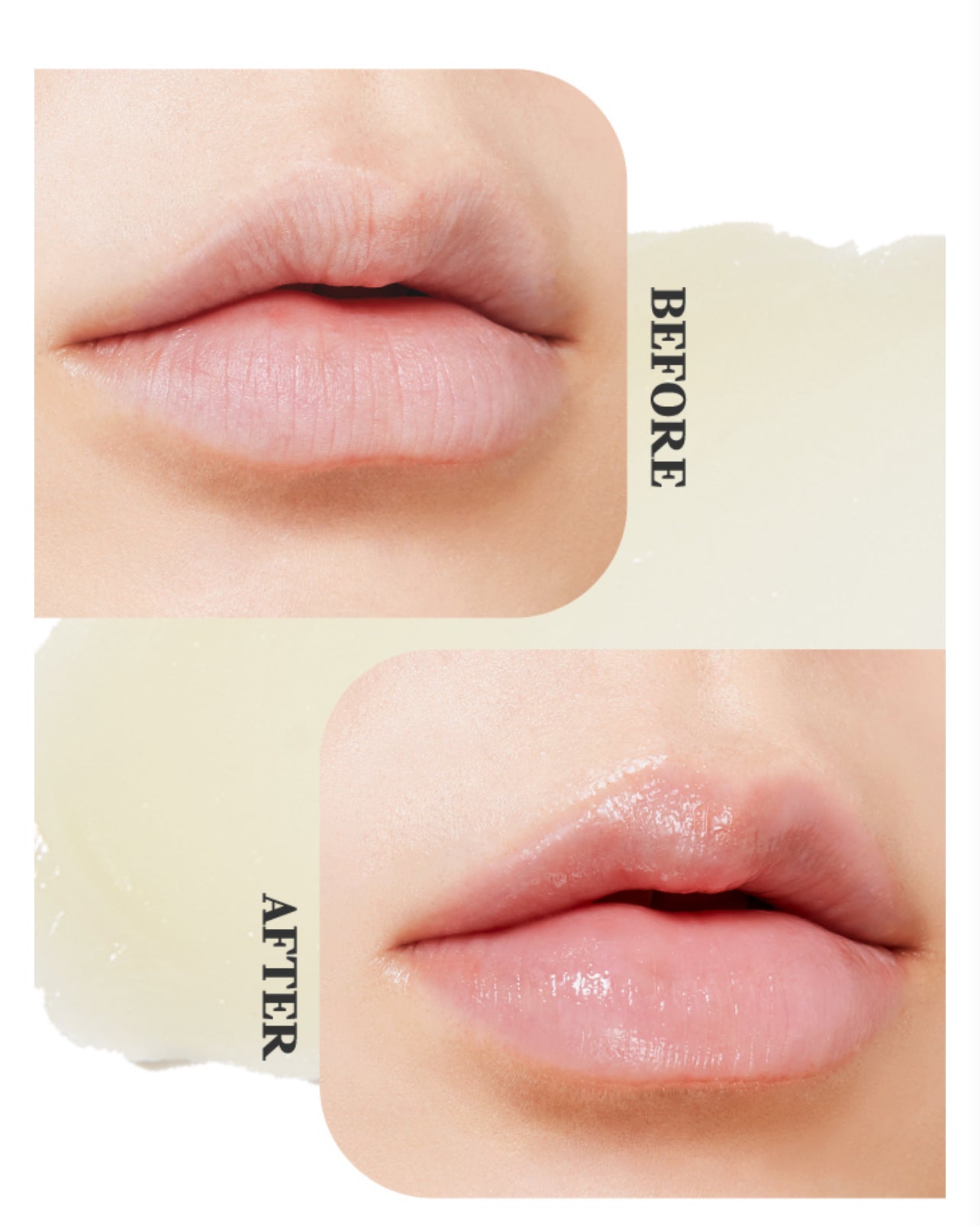 Etude Ginger Sugar Overnight Lip Mask ماسك الشفاه الليلي من ايتود