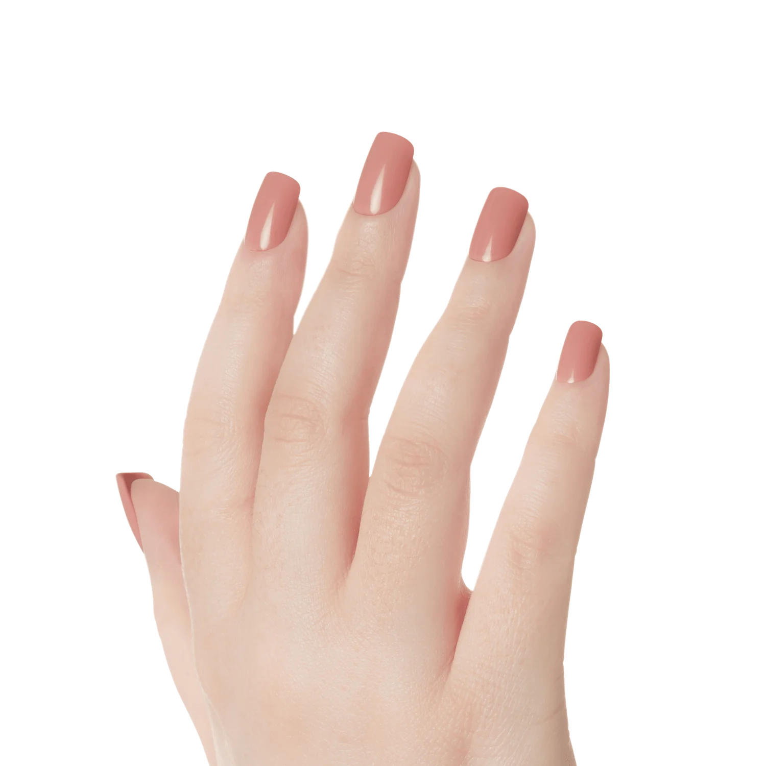 KISS Gel Fantasy S 28 Nails Glue Included KGN12 (Ribbons)
