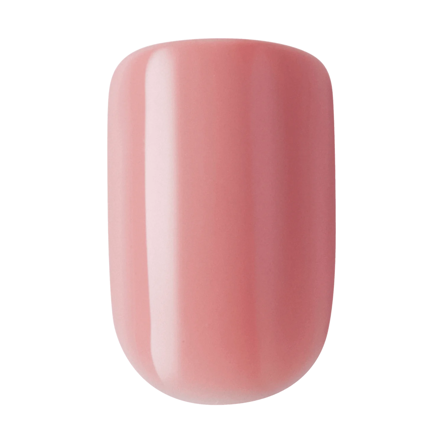 KISS Gel Fantasy S 28 Nails Glue Included KGN12 (Ribbons)