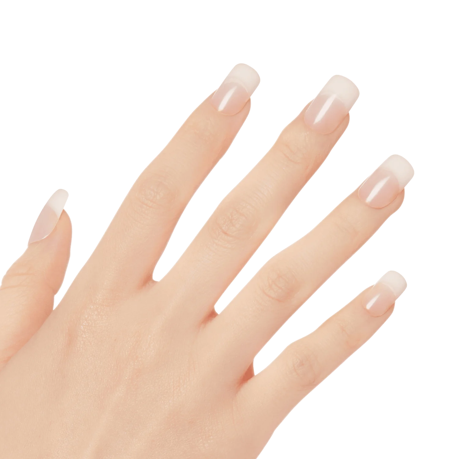 KISS Nude Revolutioary Natural Nails 28 Nails Glue Included KAN03 (French Nude
Cashmere)