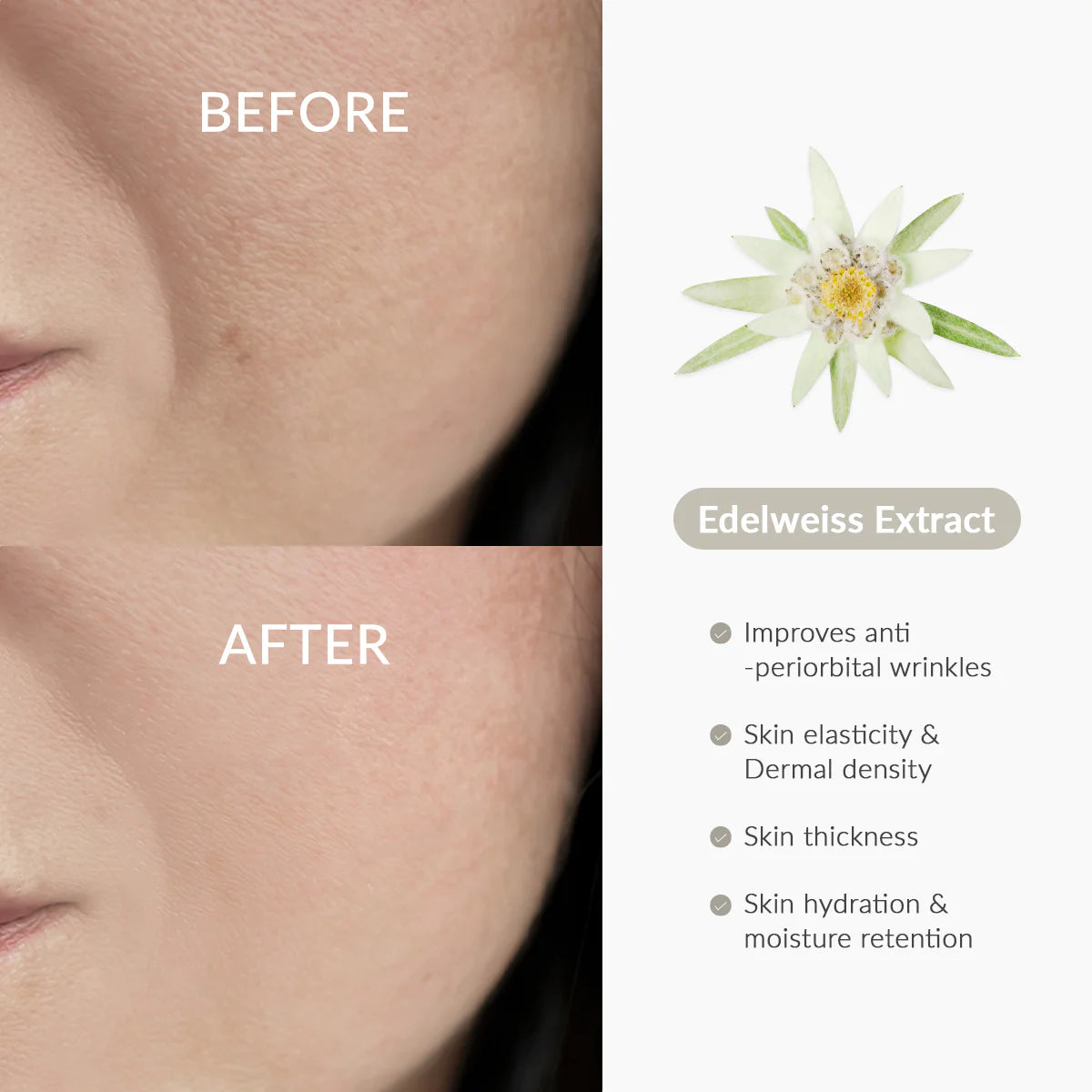 DR ALTHEA Rapid Firm Sculpting Cream كريم شد البشرة المضاد للشيخوخة من دكتر الثيا