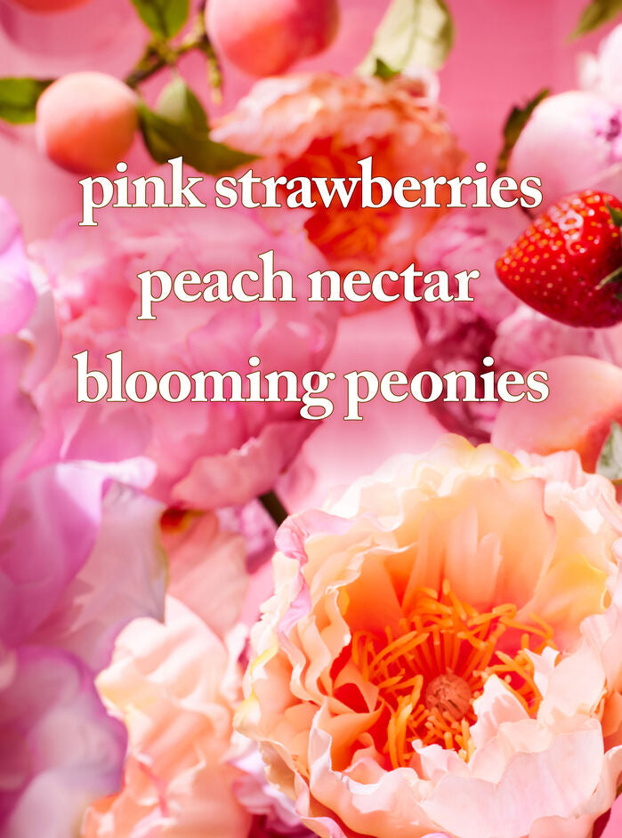 BATH AND BODY WORKS Special Bag