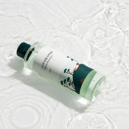 ROUND LAB Pine Calming Cica Toner تونر  تهدئة البشرة بالسيكا من راوند لاب