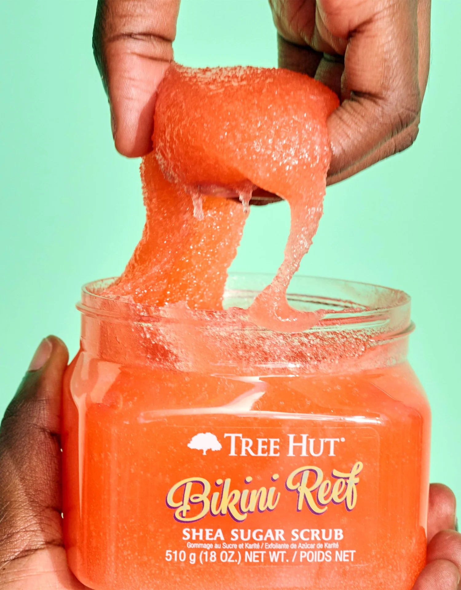 TREE HUT bikini reef shea sugar scrub