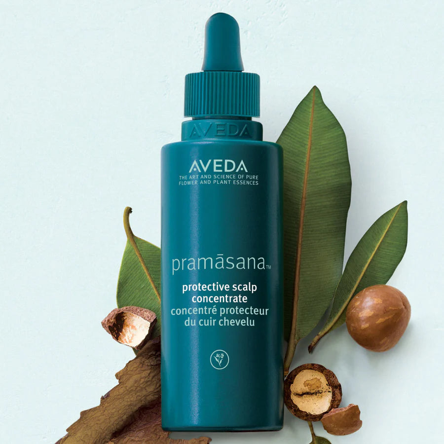 AVEDA  Paramasana Protective Scalp Concentrate علاج موازن لدهون فروة الرأس من افيدا
