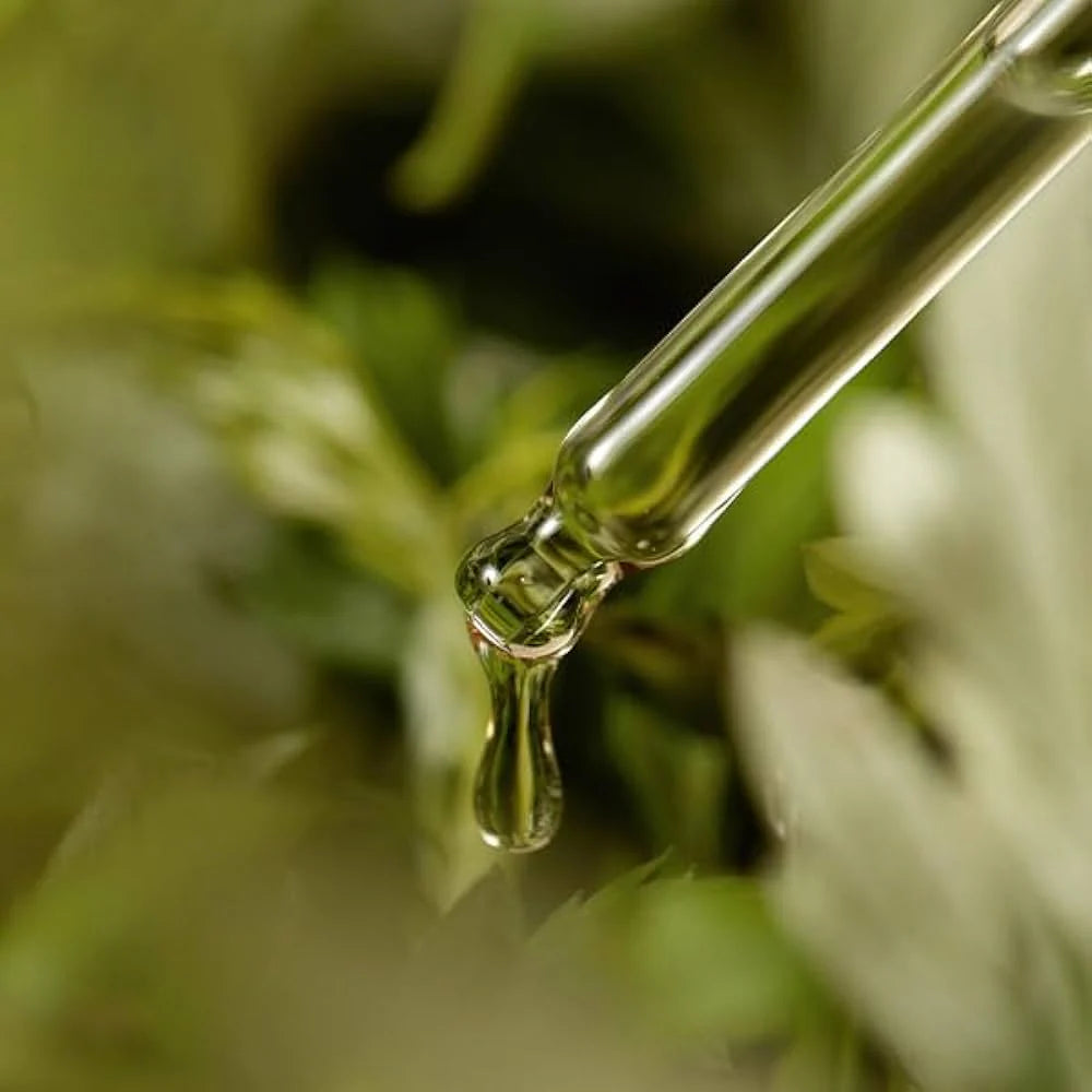 I'M FROM MUGWORT SERUM سيروم الشيح المهدئ من ام فروم
