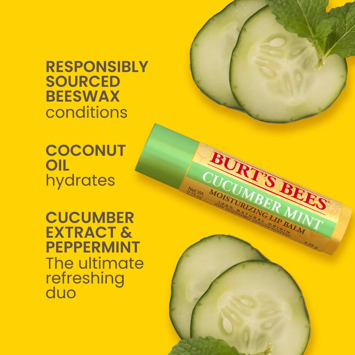 BURTS BEES Freshly Picked Lip Blam Set بكج مرطب الشفاه من برتس بيز