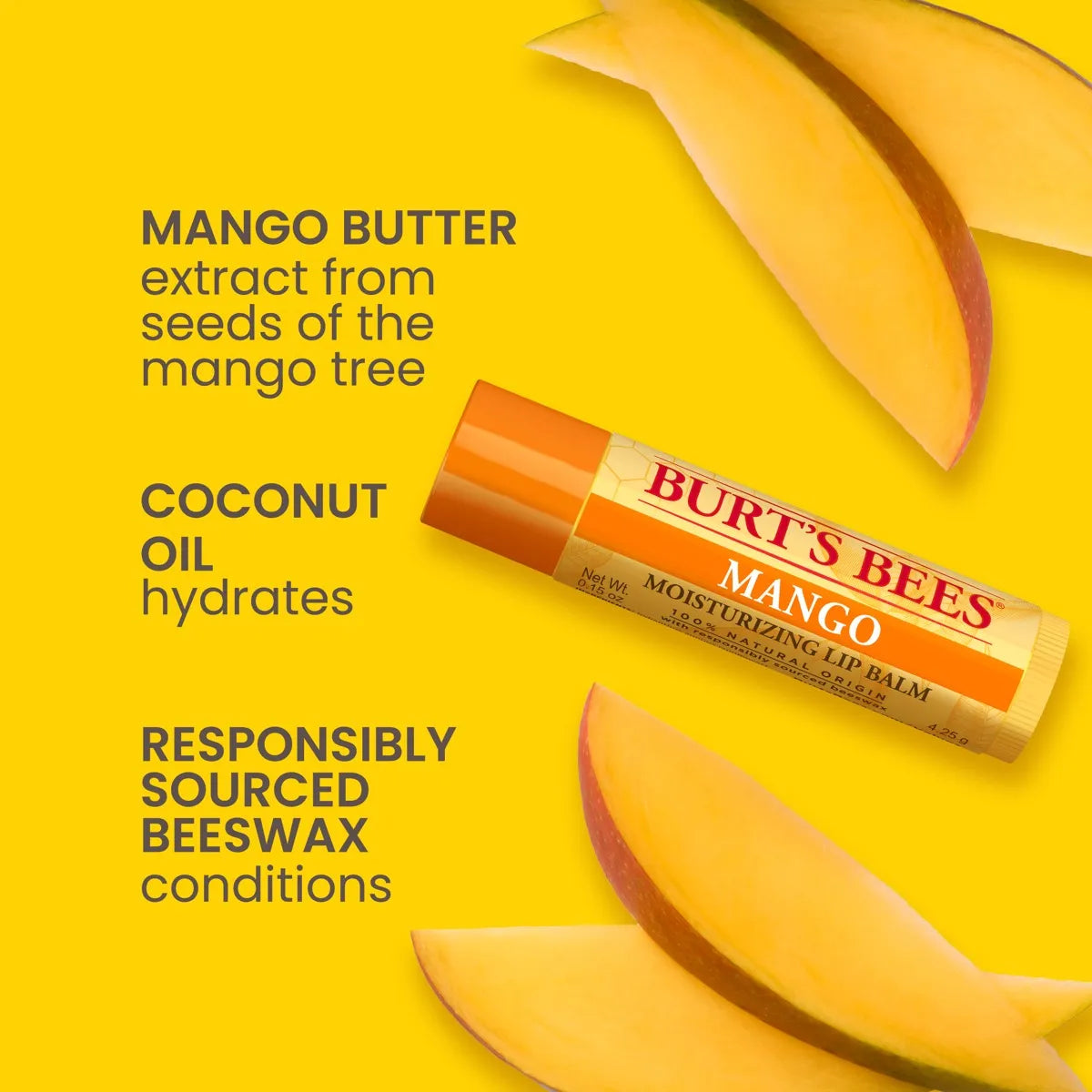 BURTS BEES Superfruit Lip Blam Set بكج مرطب الشفاه من برتس بيز