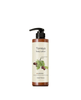 MEDIFLOWER Torreya Body Cleanser Brassica Napus Extract غسول الجسم من ميدفلاور