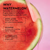 Glow Recipe Watermelon Glow Dewy Skin Routine Kit 4 PC