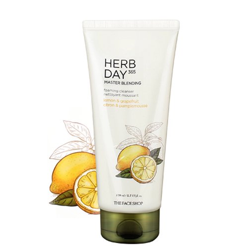 THE FACE SHOP Herb Day Master Blinding Facial Foaming Cleanser