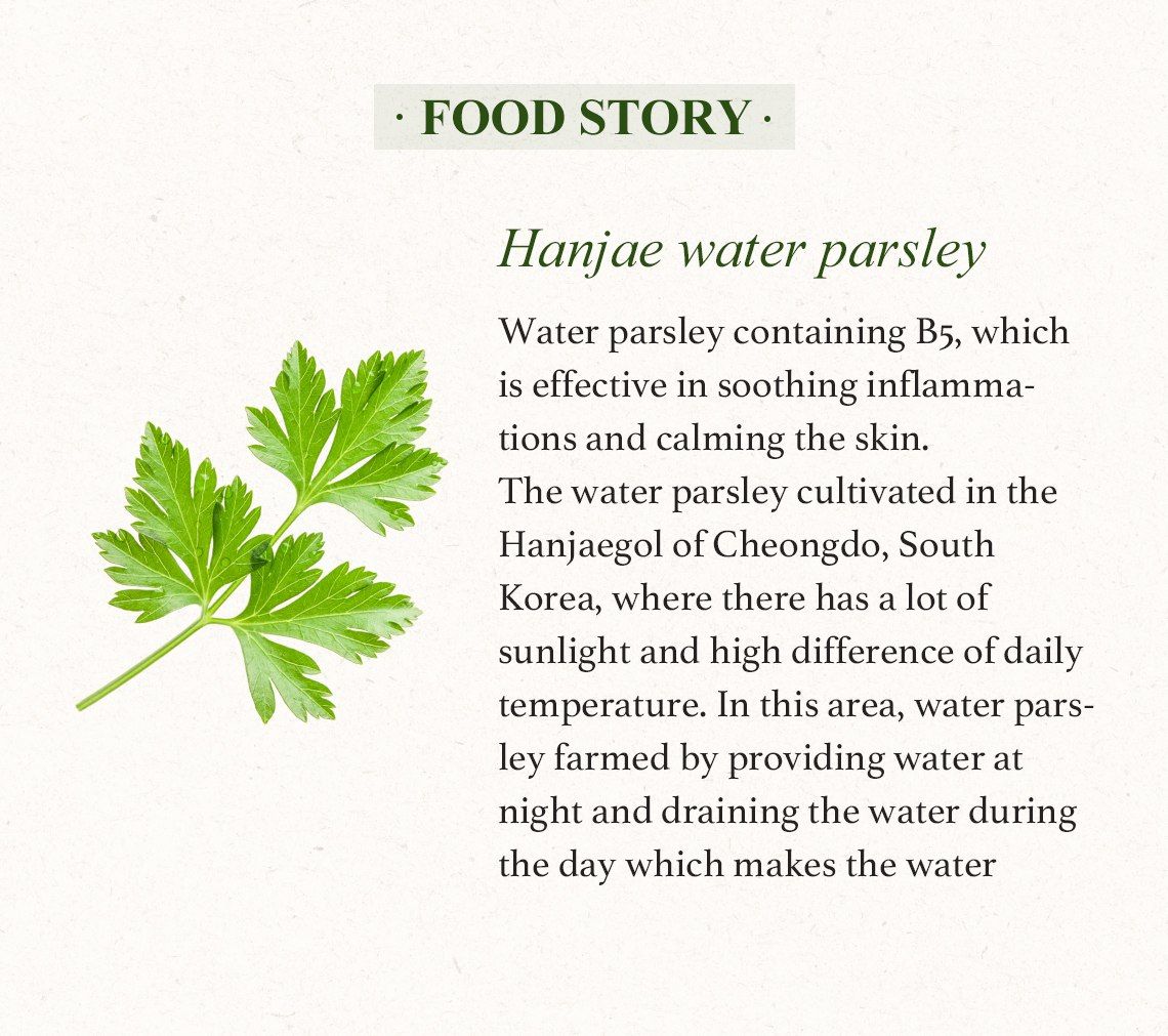 SKINFOOD Pantothenic Water Parsley Smashing Powder