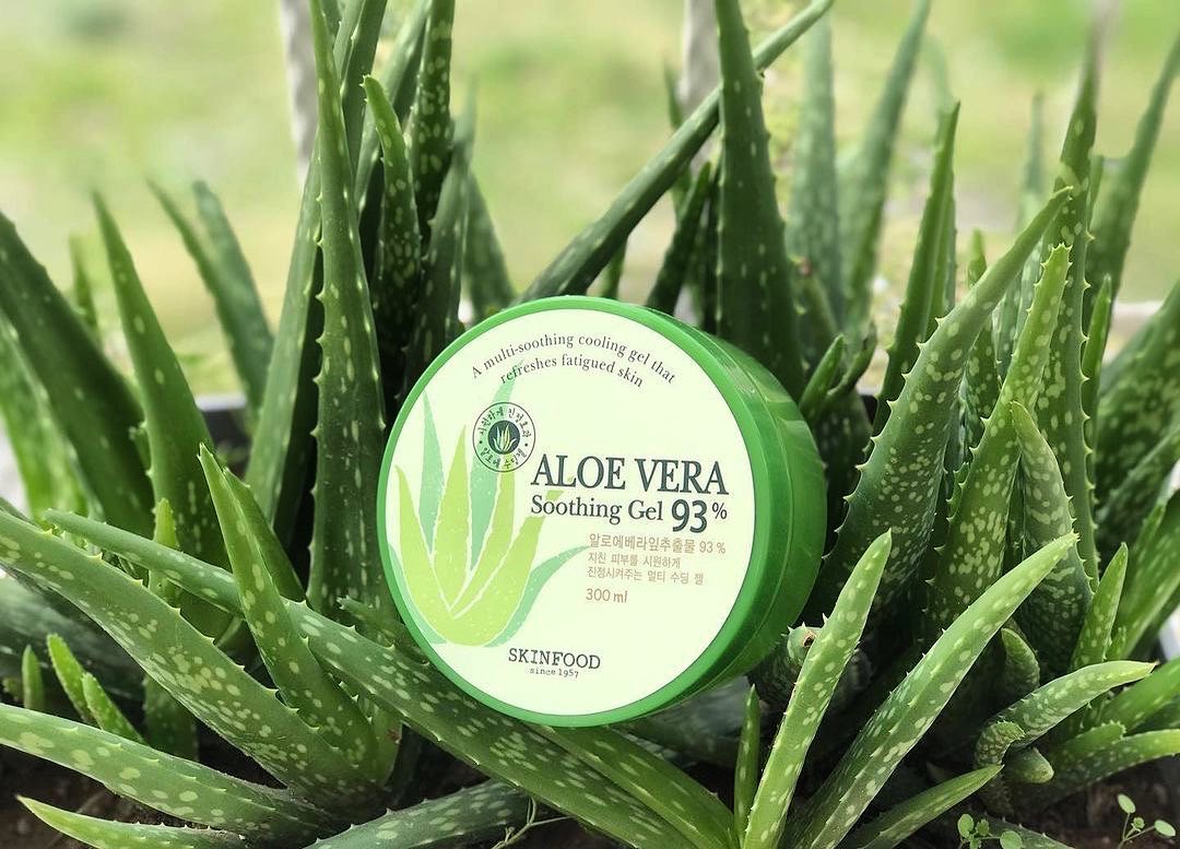 SKINFOOD Aloe Vera 93% Soothing Gel جل الصبار – Halazoon