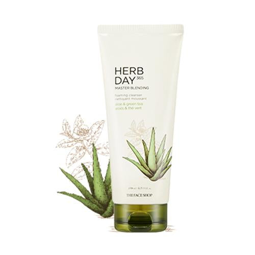 THE FACE SHOP Herb Day Master Blinding Facial Foaming Cleanser