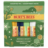 BURTS BEES Bounty Assorted Mix Lip Balm Gift Set