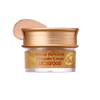 SKINFOOD Salmon Dark Circle Concealer Cream